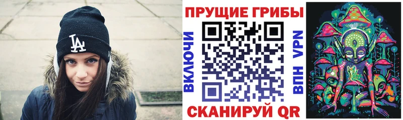 KRAKEN ссылка  Кондрово  Псилоцибиновые грибы ЛСД 